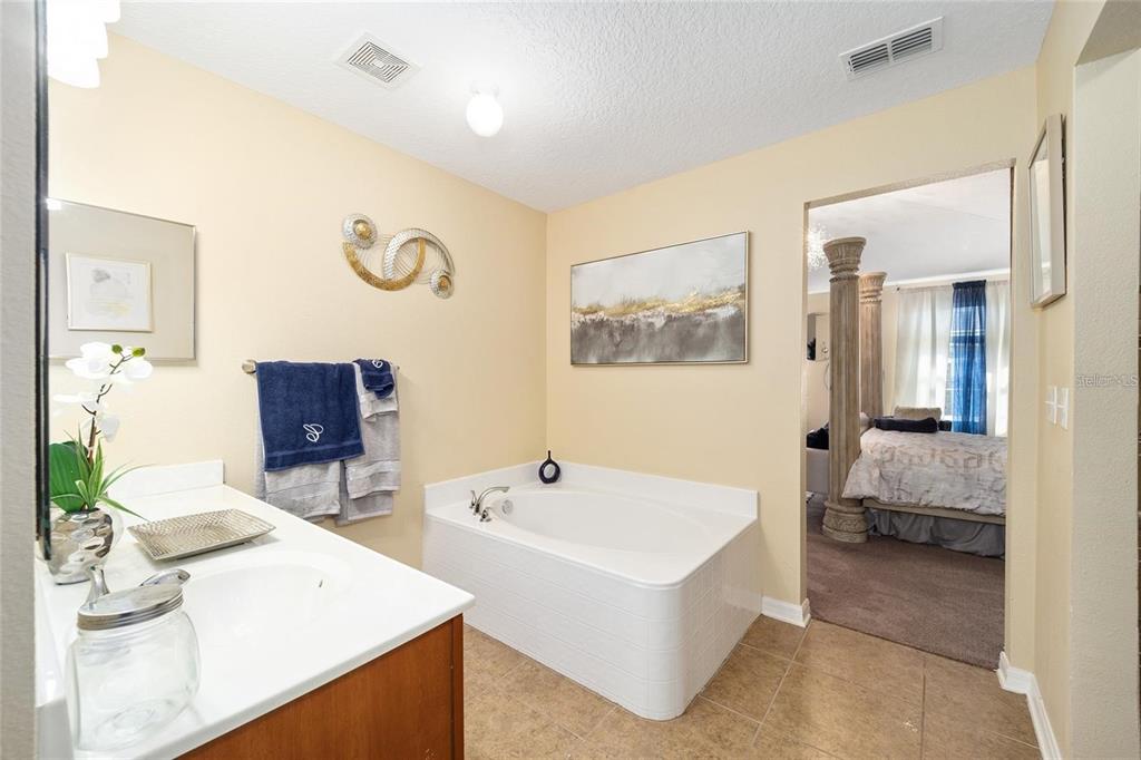 14308 Northwest 161st Avenue Alachua, FL 32615 - Photo 18 of 52 a en suite spacious bathroom with a tub double vanity and view bedroom