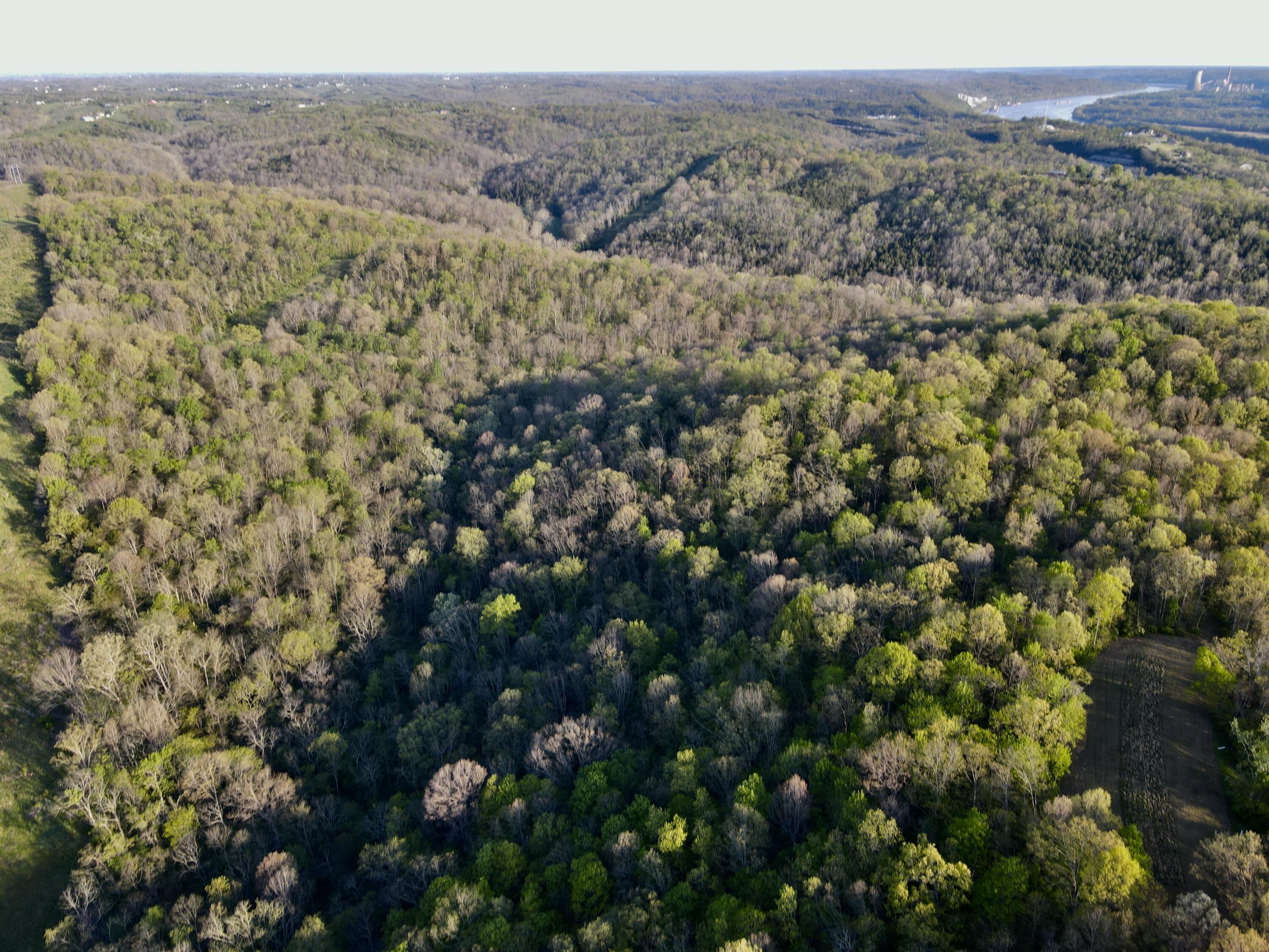 360 Day Hill Road Foster, KY 41043 - Photo 49 of 50