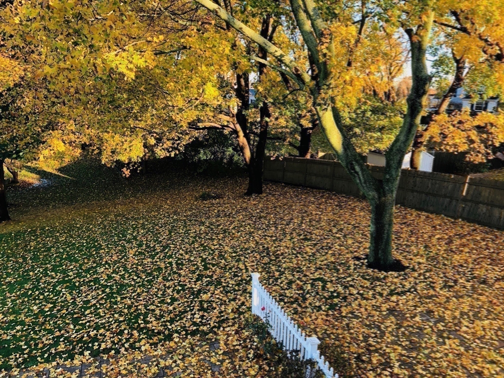 9 Endicott Street, Unit B Danvers, MA 01923 - Photo 41 of 42