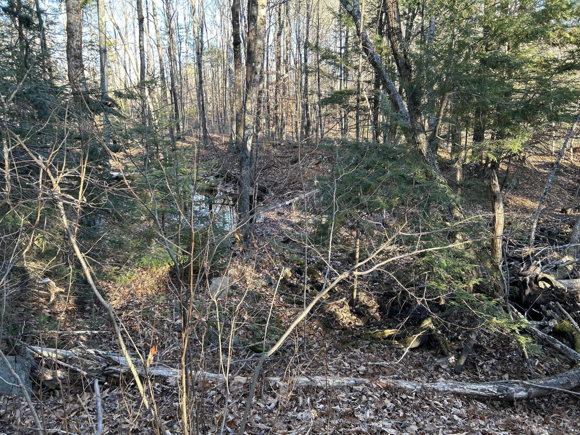 10 10 Lots Road Oakland, ME 04963 - Photo 19 of 28 IMG_3416