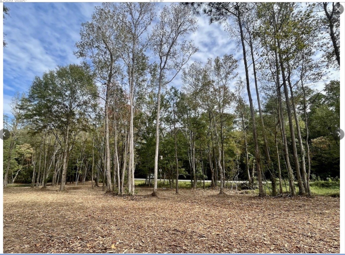 a backyard of a house with lots of trees
