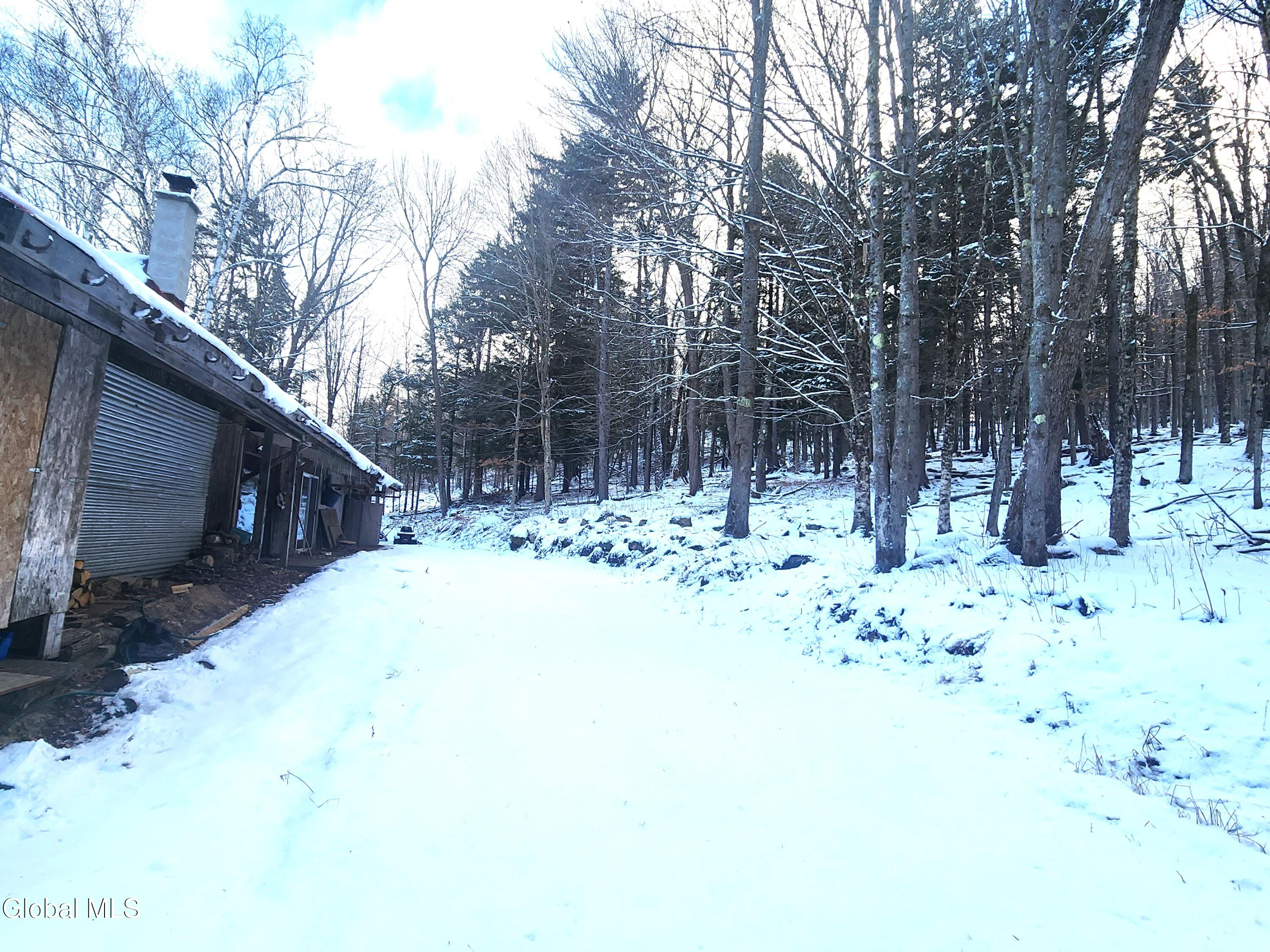 285 Fish Mountain Road Lake Pleasant, NY 12108 - Photo 6 of 29 285 Fish Mountain Road