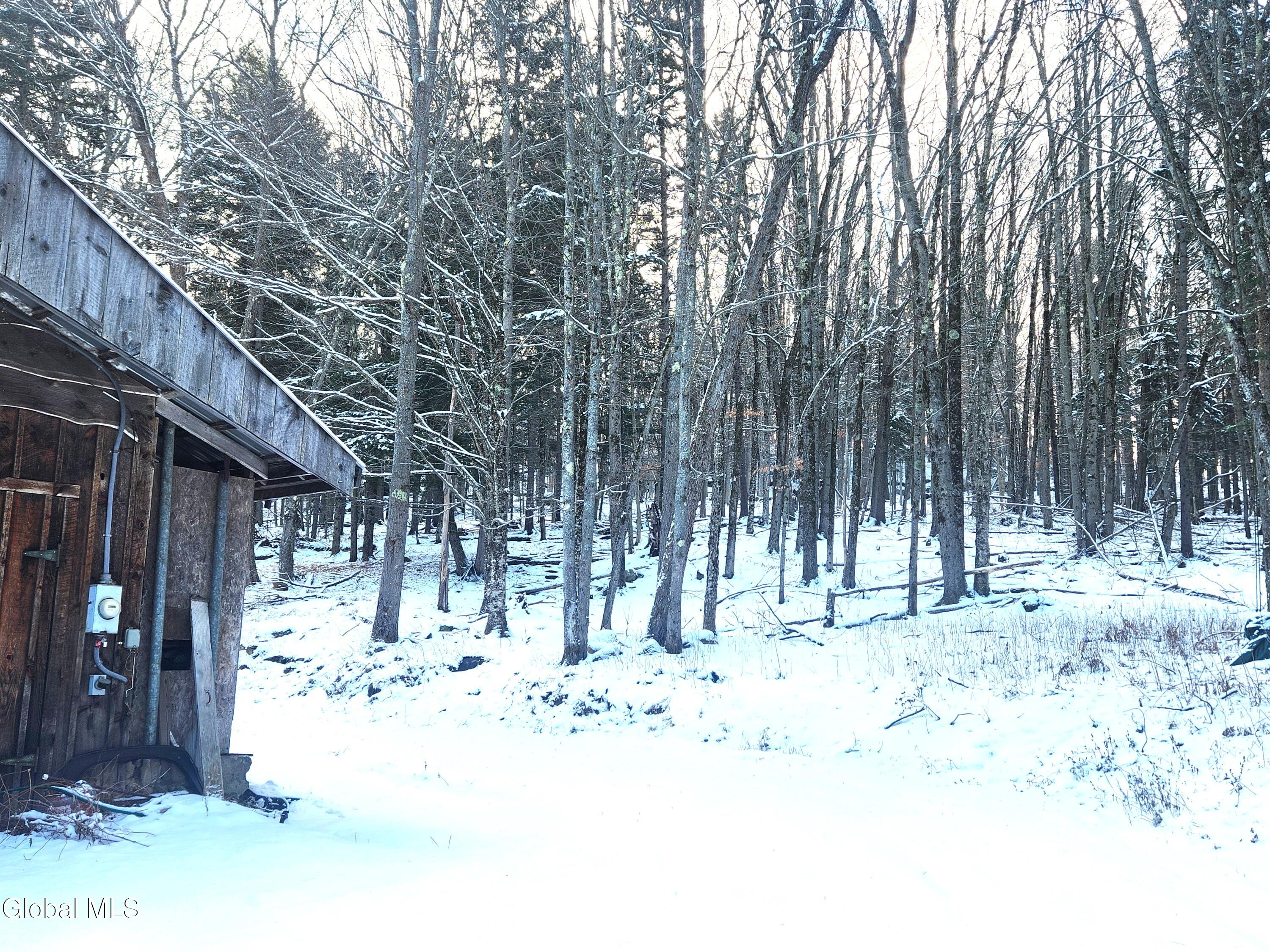 285 Fish Mountain Road Lake Pleasant, NY 12108 - Photo 7 of 29 285 Fish Mountain Road
