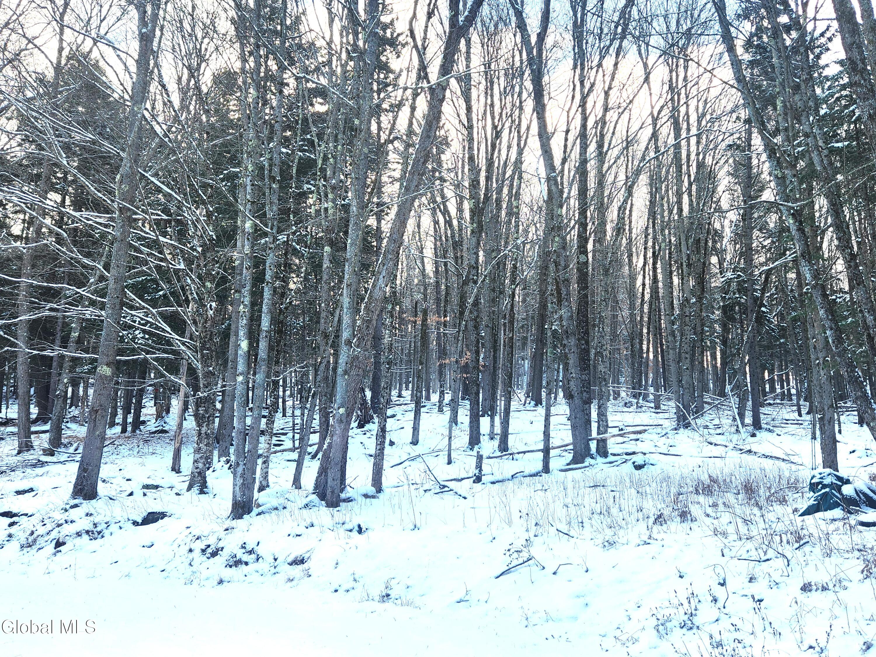 285 Fish Mountain Road Lake Pleasant, NY 12108 - Photo 8 of 29 285 Fish Mountain Road