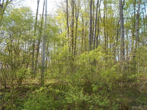$34,900 | 0 Neamon Drive, Delevan, NY 14042
