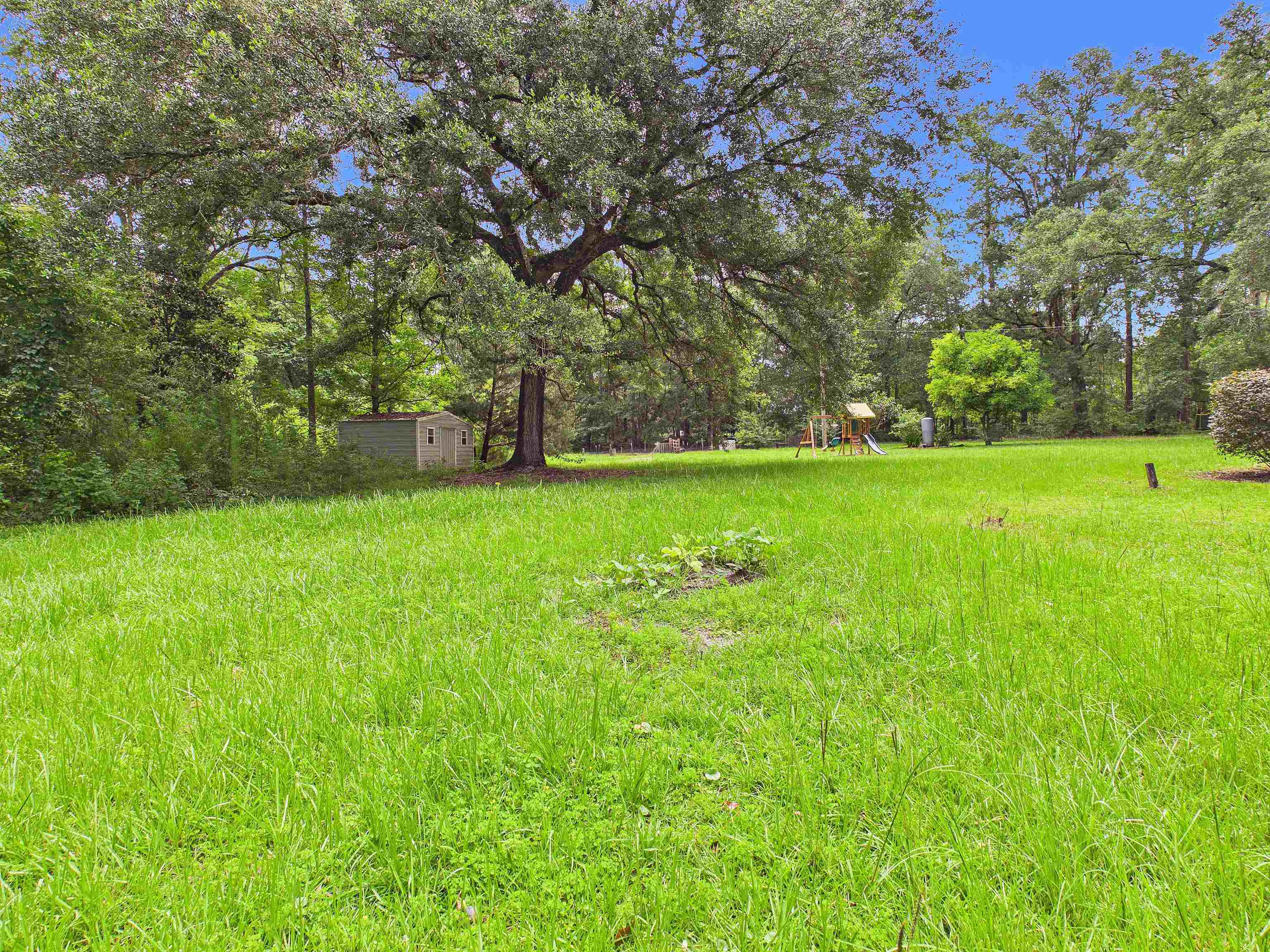 196 Private Road Monticello, FL 32344 - Photo 23 of 29