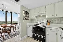 a kitchen with a stove a sink and cabinets