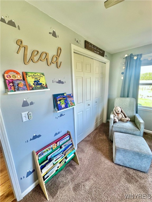 12044 Rapids Road Newstead, NY 14001 - Photo 19 of 41