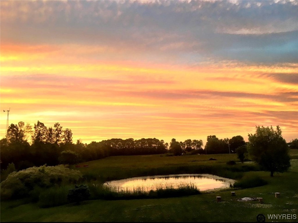 12044 Rapids Road Newstead, NY 14001 - Photo 28 of 41