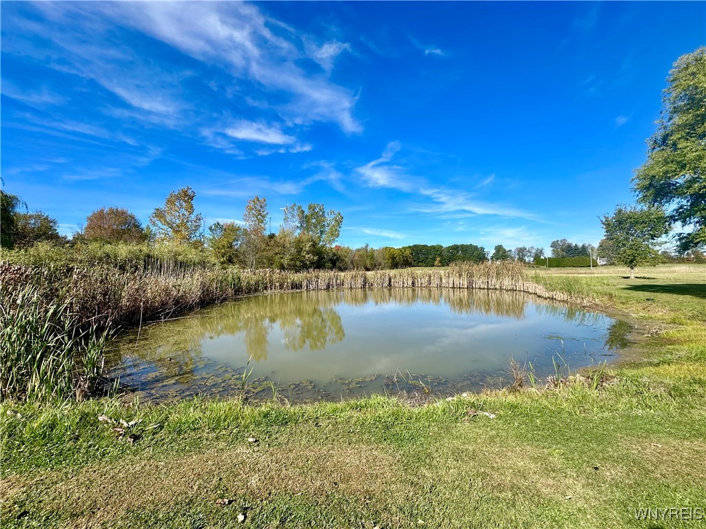 12044 Rapids Road Newstead, NY 14001 - Photo 39 of 41