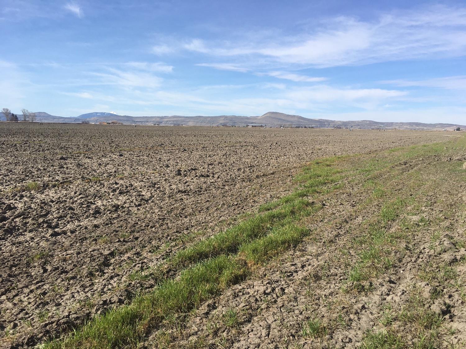 22112 Zlabek Road Tulelake, CA 96134 - Photo 4 of 10 Additional Photo
