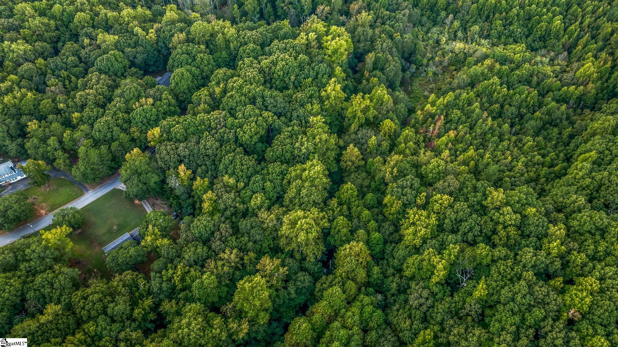 118 Mill Creek Road Piedmont, SC 29673 - Photo 11 of 12