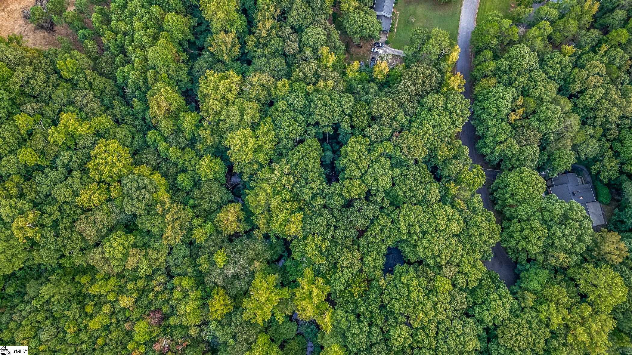 118 Mill Creek Road Piedmont, SC 29673 - Photo 12 of 12