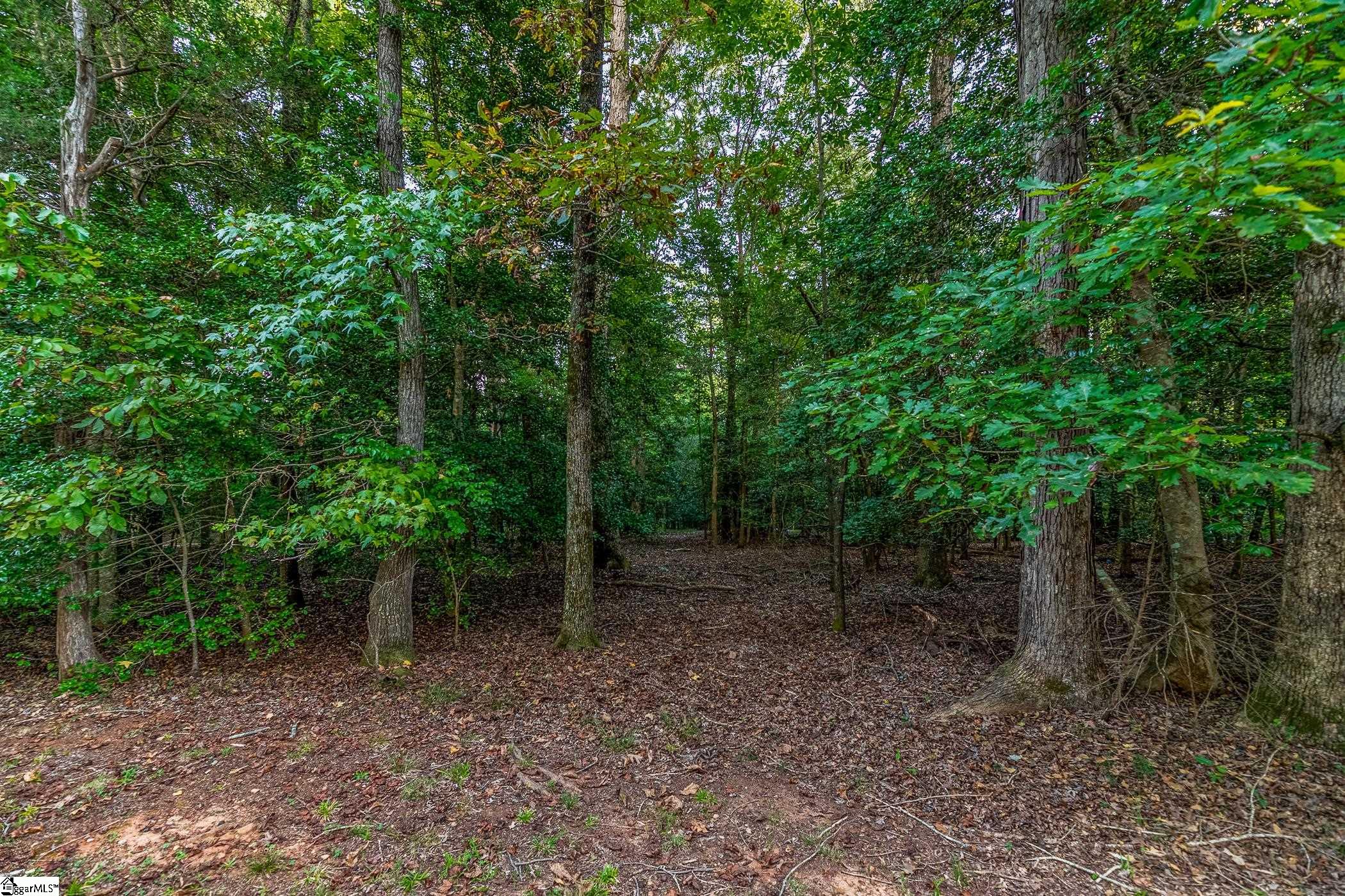 118 Mill Creek Road Piedmont, SC 29673 - Photo 3 of 12