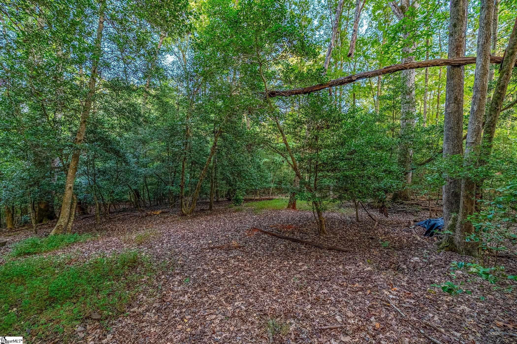 118 Mill Creek Road Piedmont, SC 29673 - Photo 4 of 12