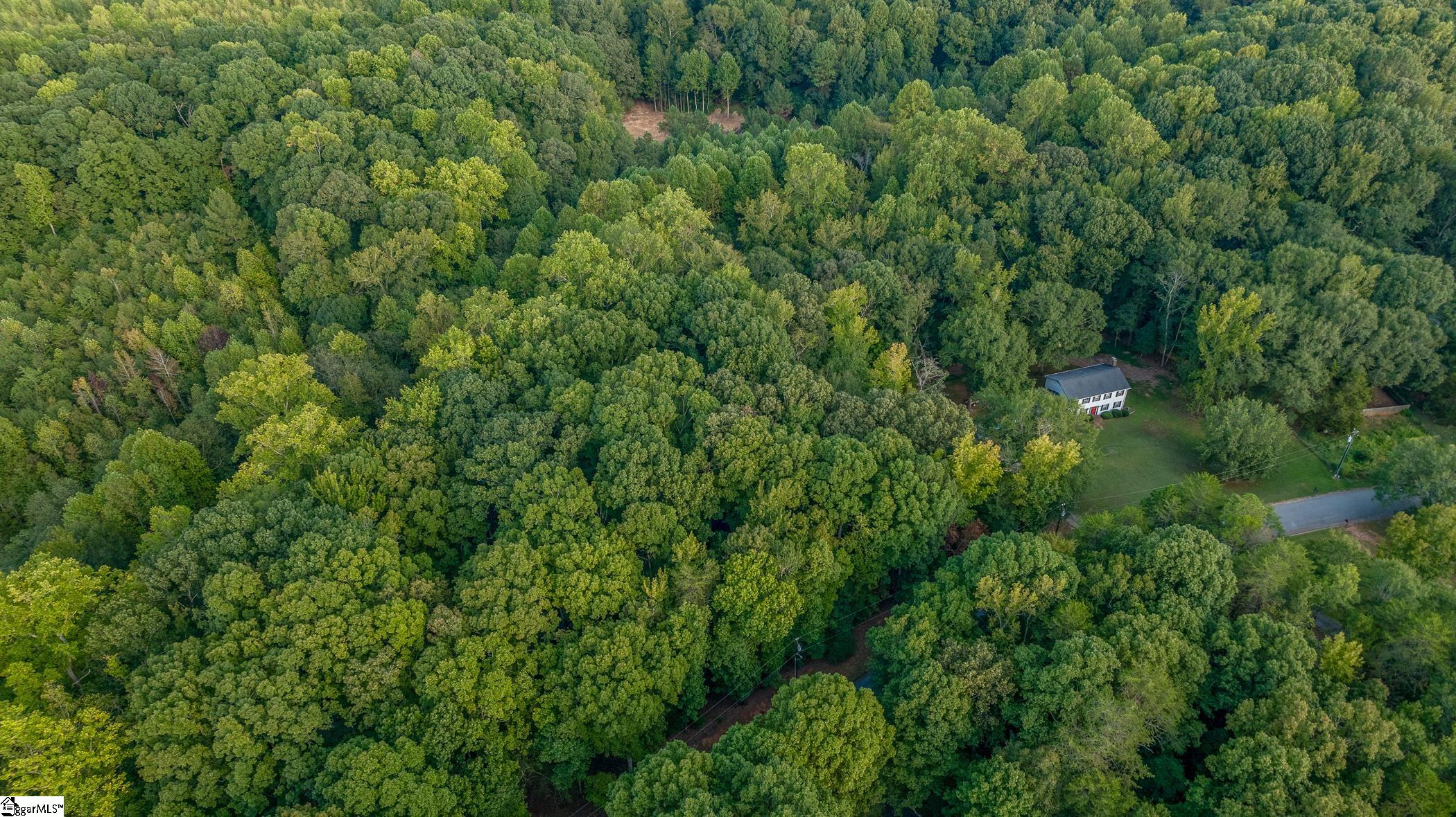 118 Mill Creek Road Piedmont, SC 29673 - Photo 5 of 12