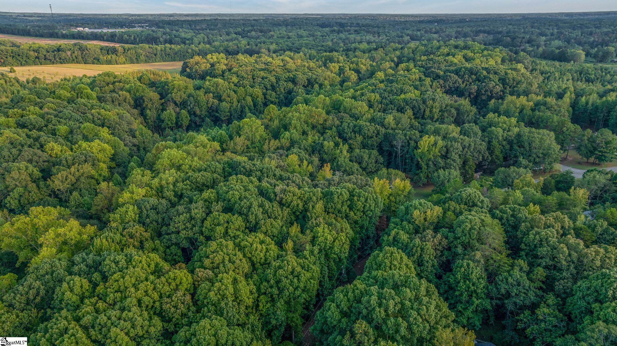 118 Mill Creek Road Piedmont, SC 29673 - Photo 6 of 12