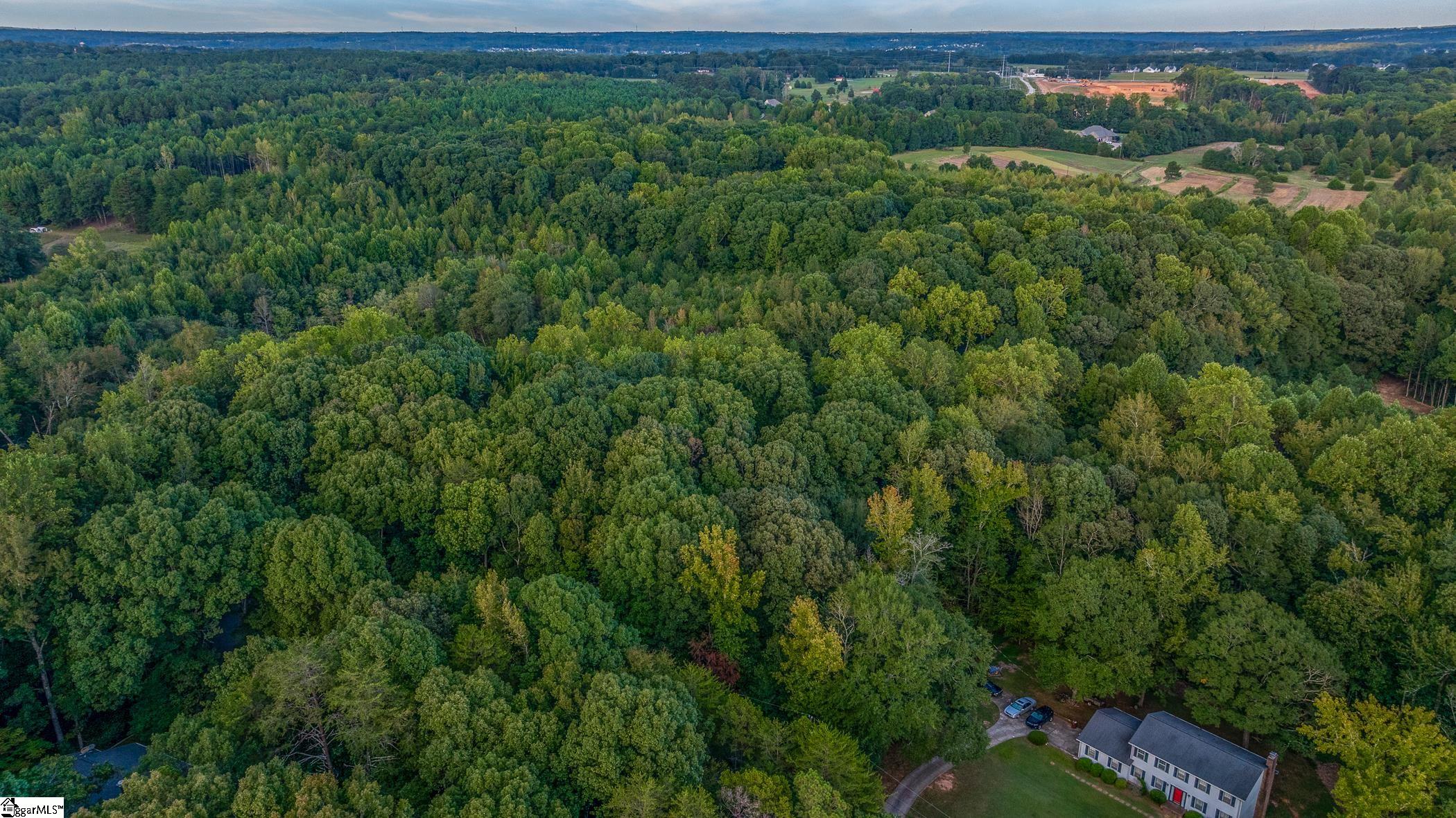 118 Mill Creek Road Piedmont, SC 29673 - Photo 7 of 12