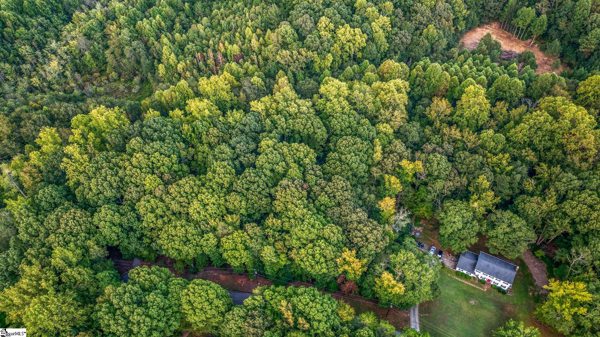 118 Mill Creek Road Piedmont, SC 29673 - Photo 8 of 12