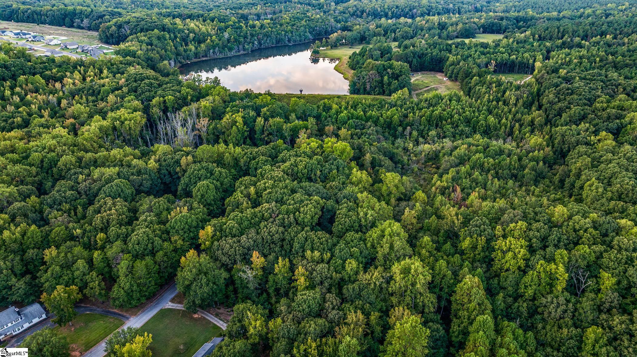 118 Mill Creek Road Piedmont, SC 29673 - Photo 9 of 12