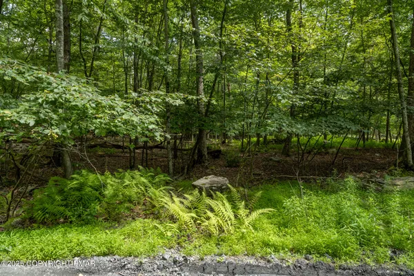 a view of a yard with an trees