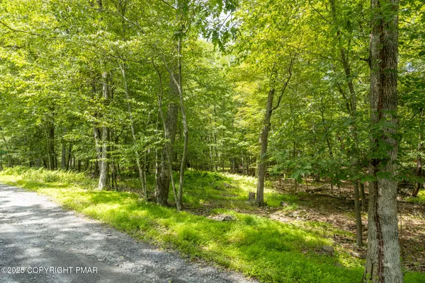 $11,000 | 0 Talon Trail, East Stroudsburg, PA 18302