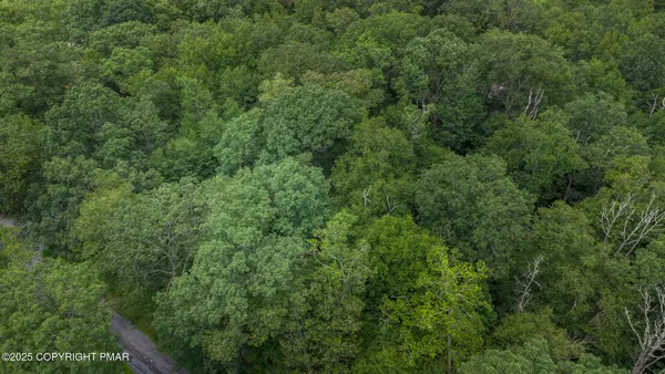 an aerial view of residential house with outdoor space and trees all around