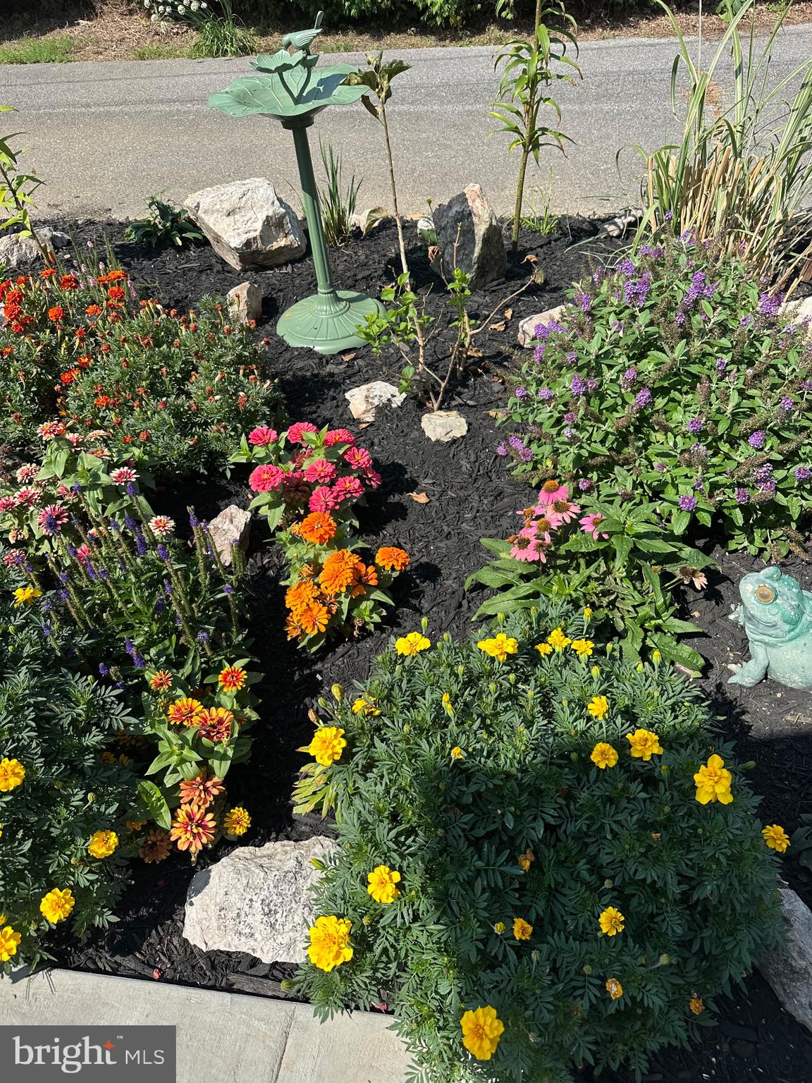 1447 Crottlestown Road Chambersburg, PA 17202 - Photo 4 of 16 a view of a flower