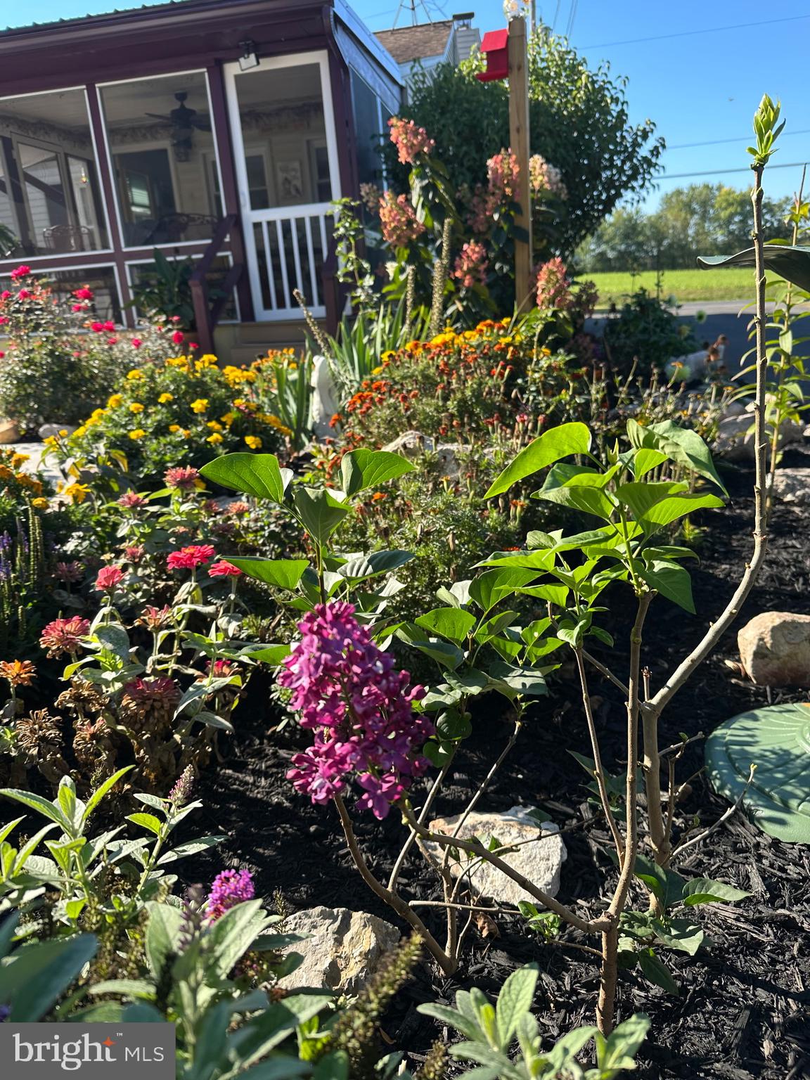 1447 Crottlestown Road Chambersburg, PA 17202 - Photo 5 of 16