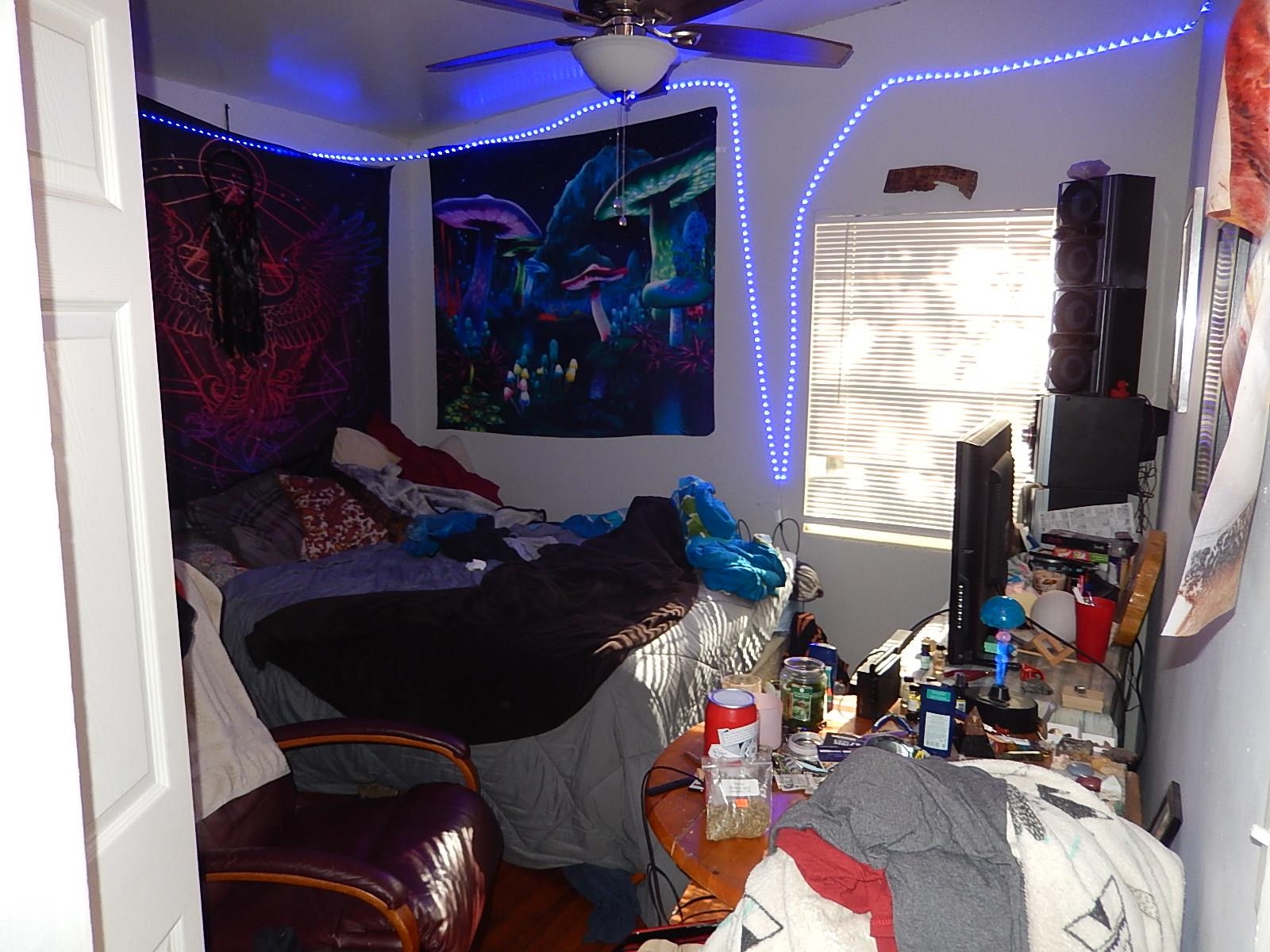 1663 Sharkey Street Tallahassee, FL 32304 - Photo 4 of 13