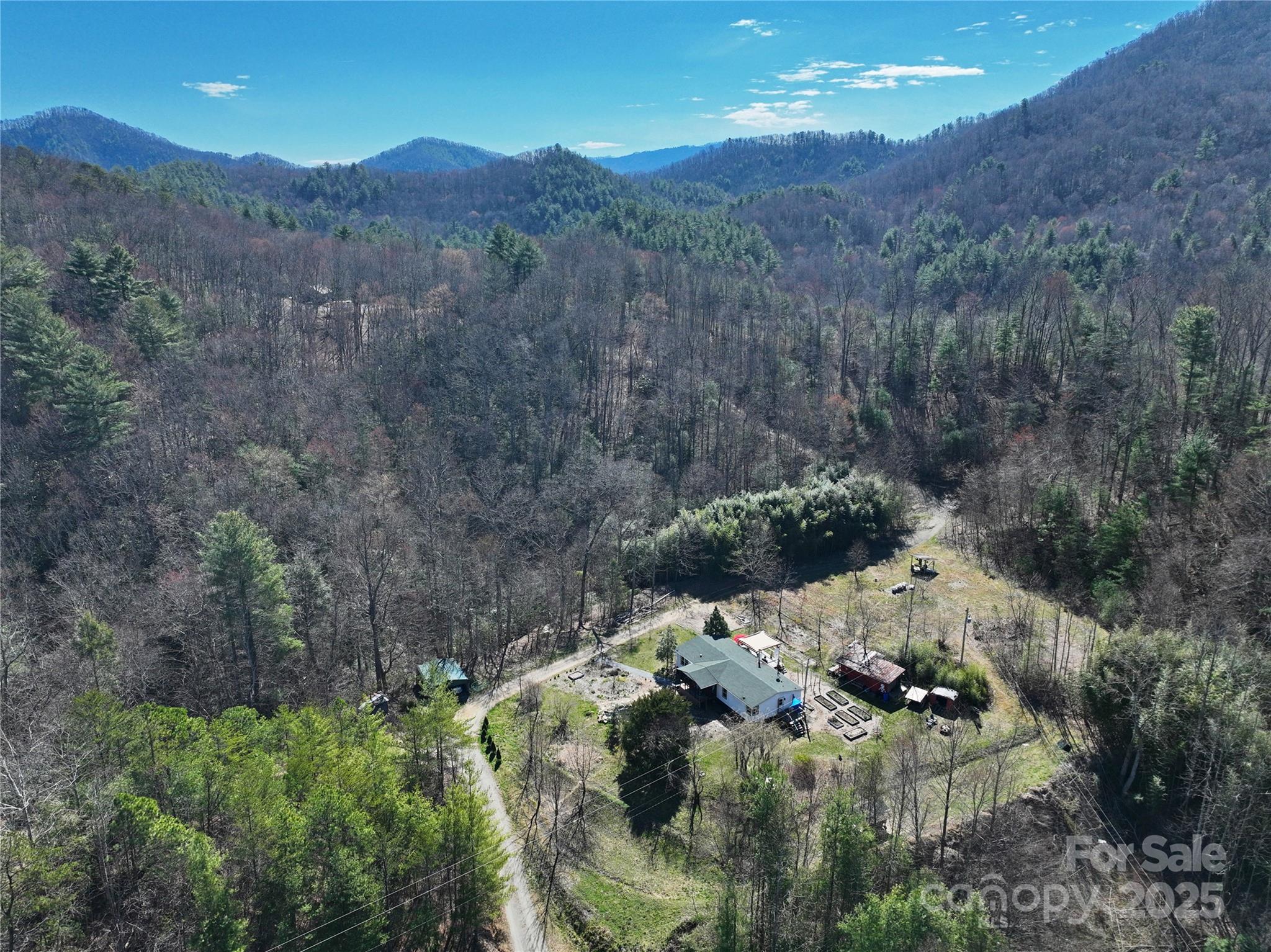 3719 Upper Shut In Road Hot Springs, NC 28743 - Photo 2 of 47 Gallery Image 2