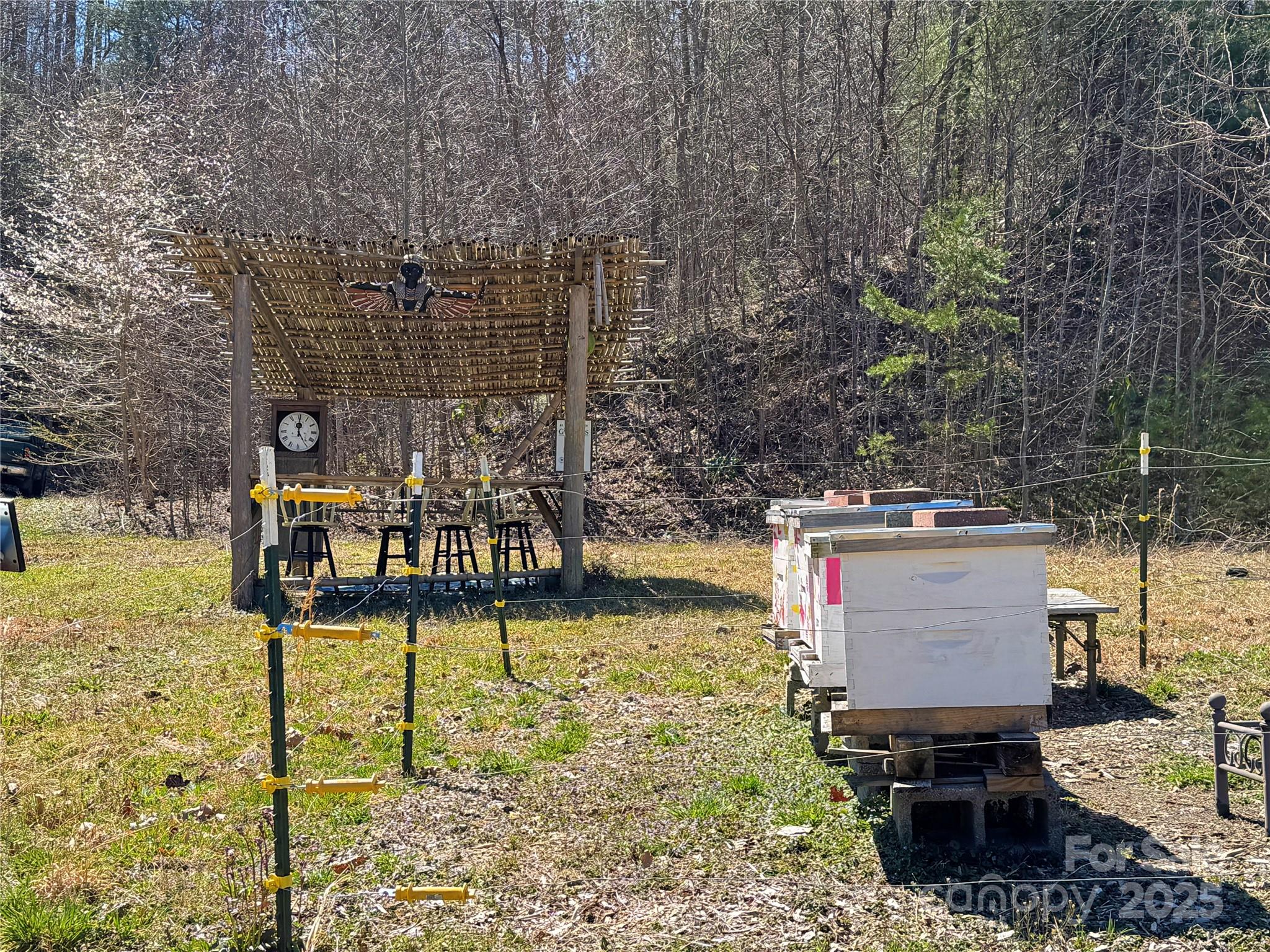 3719 Upper Shut In Road Hot Springs, NC 28743 - Photo 30 of 47 Gallery Image 30