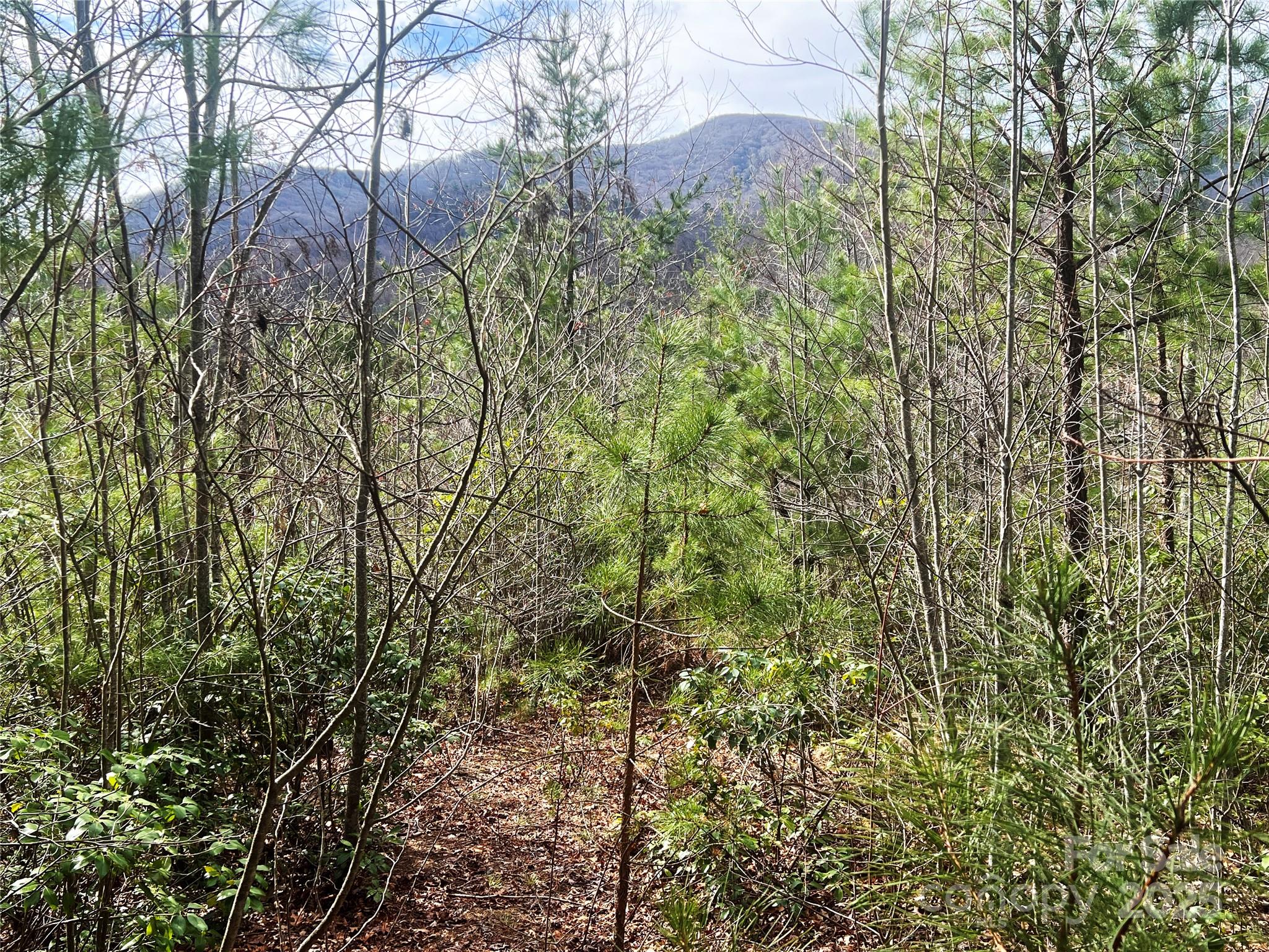 3719 Upper Shut In Road Hot Springs, NC 28743 - Photo 41 of 47 Gallery Image 41