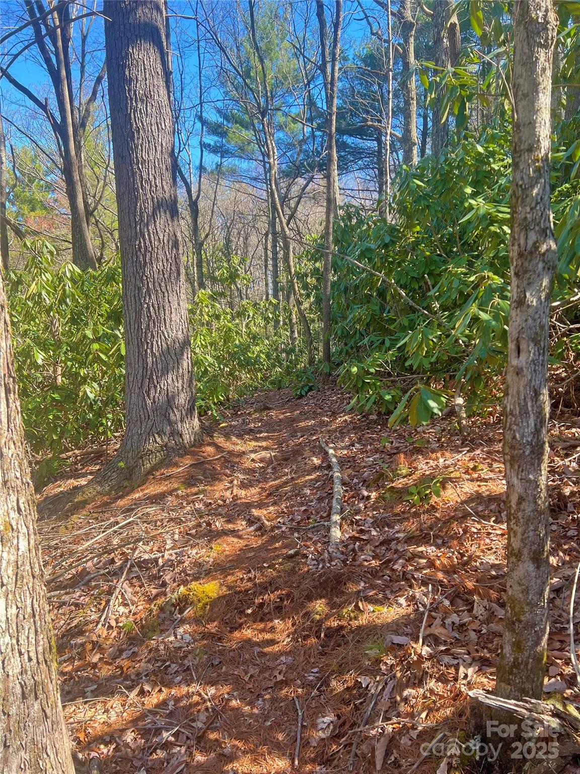 3719 Upper Shut In Road Hot Springs, NC 28743 - Photo 42 of 47 Gallery Image 42