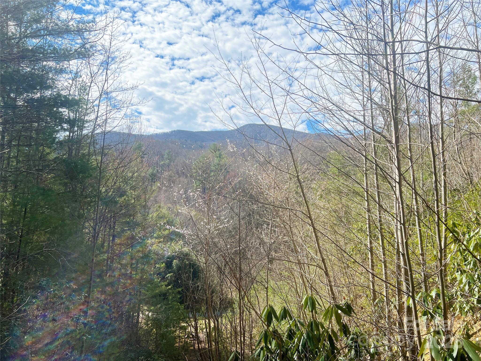 3719 Upper Shut In Road Hot Springs, NC 28743 - Photo 43 of 47 Gallery Image 43