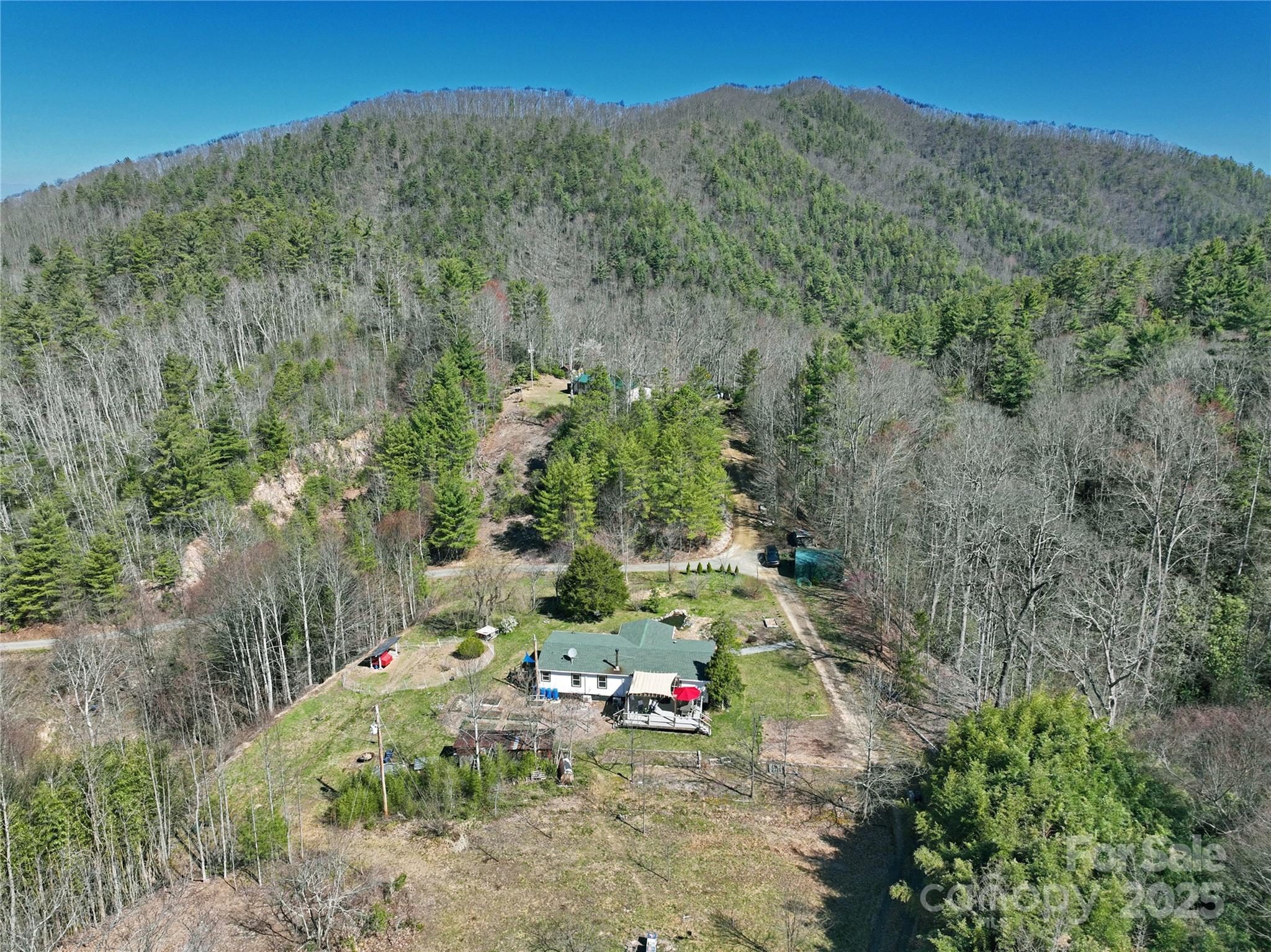 3719 Upper Shut In Road Hot Springs, NC 28743 - Photo 45 of 47 Gallery Image 45