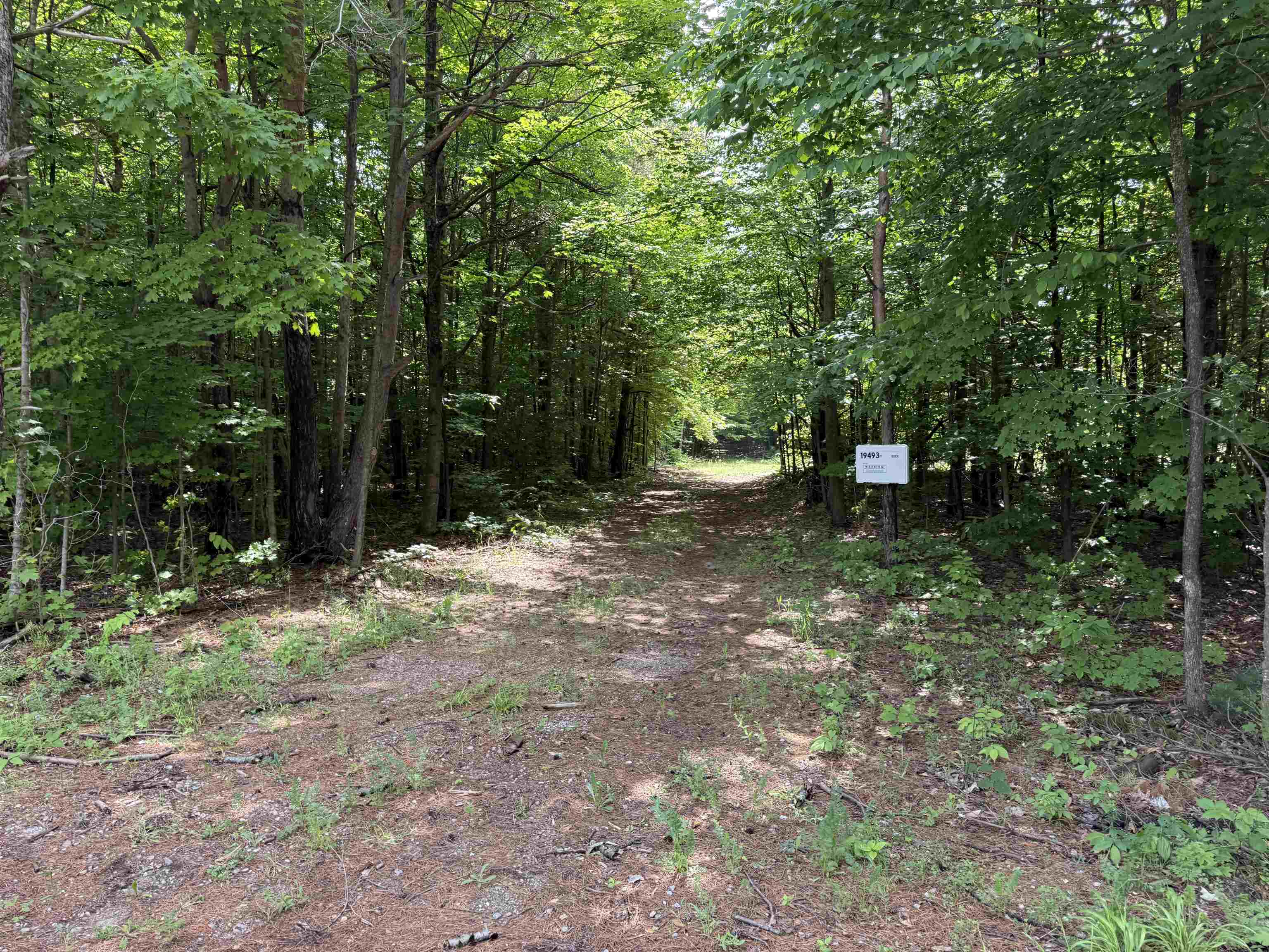 19493 Paradise Ridge Trail Cedar, MI 49684 - Photo 16 of 19