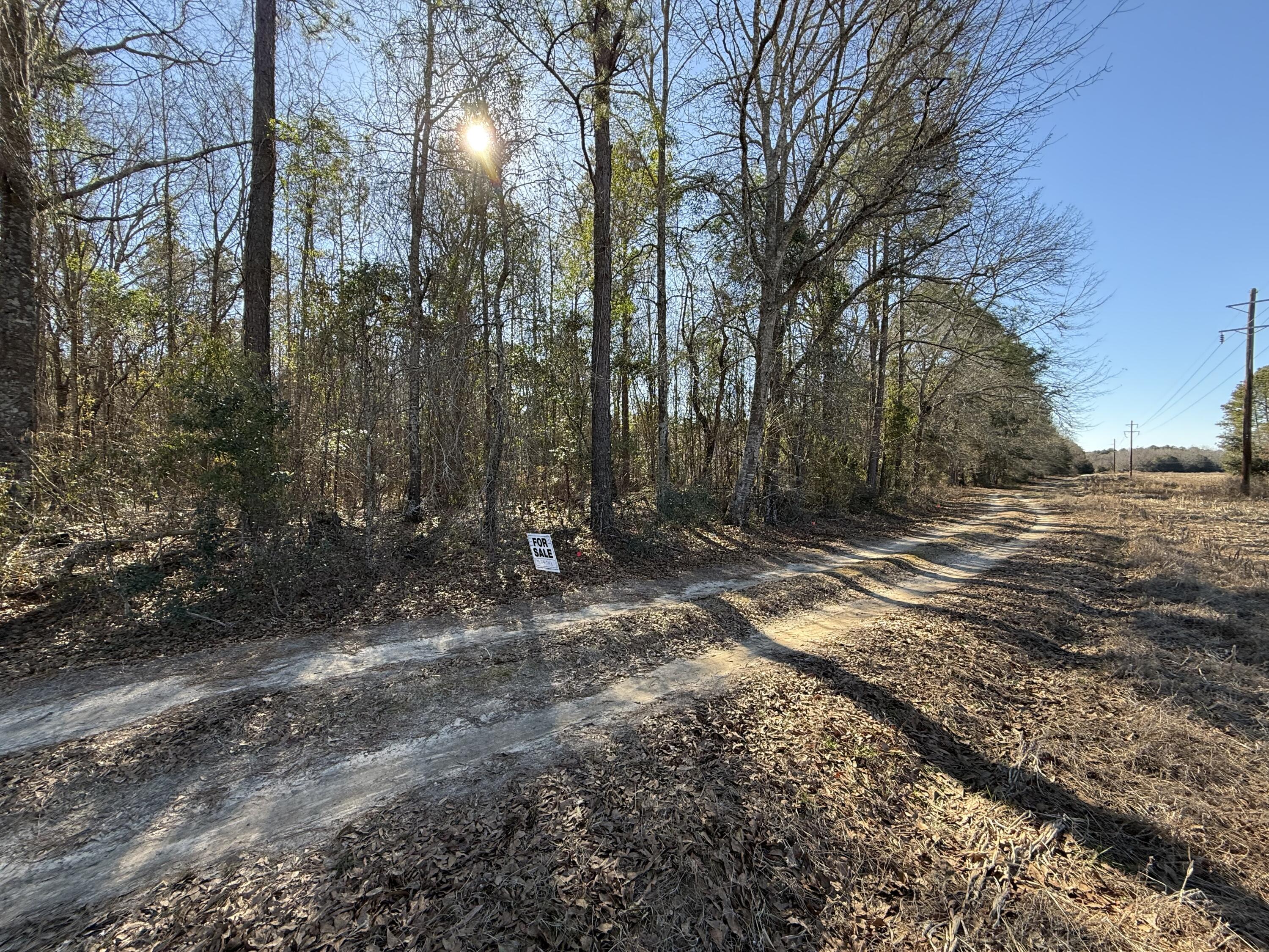3075 Wilfred Drive Rembert, SC 29128 - Photo 2 of 8