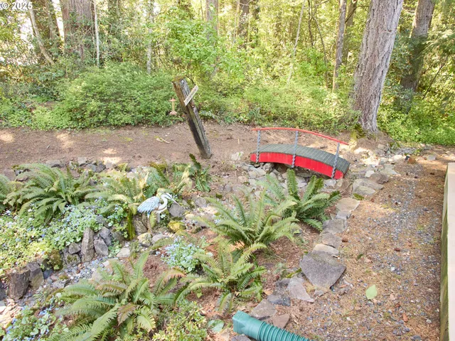 a view of a yard with plants and tree