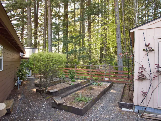 a view of a backyard with chair and table