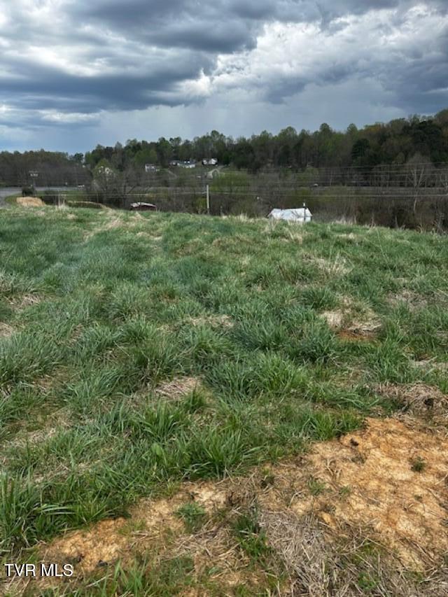 694 Egypt Road, Unit 5 Bluff City, TN 37618 - Photo 2 of 9 IMG_0573 (Custom)