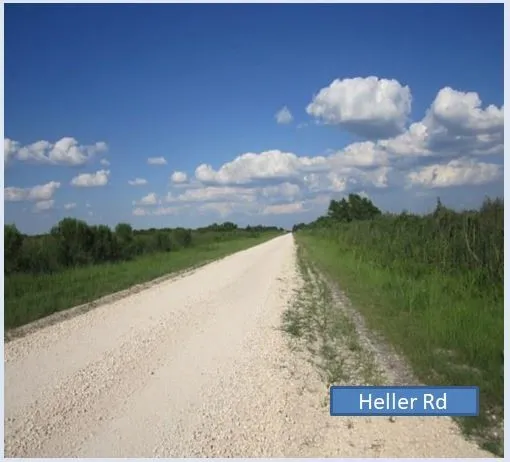 a view of a yard in front of the house with a yard