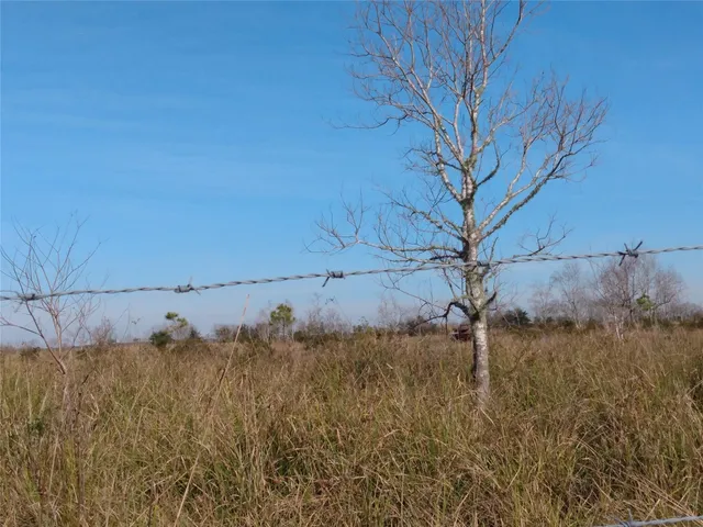 a view of a dry yard with wooden fence