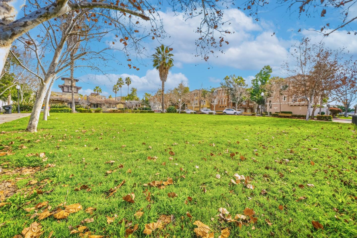 59 Wind Song Milpitas, CA 95035 - Photo 43 of 61 a backyard of a house with lots of green space