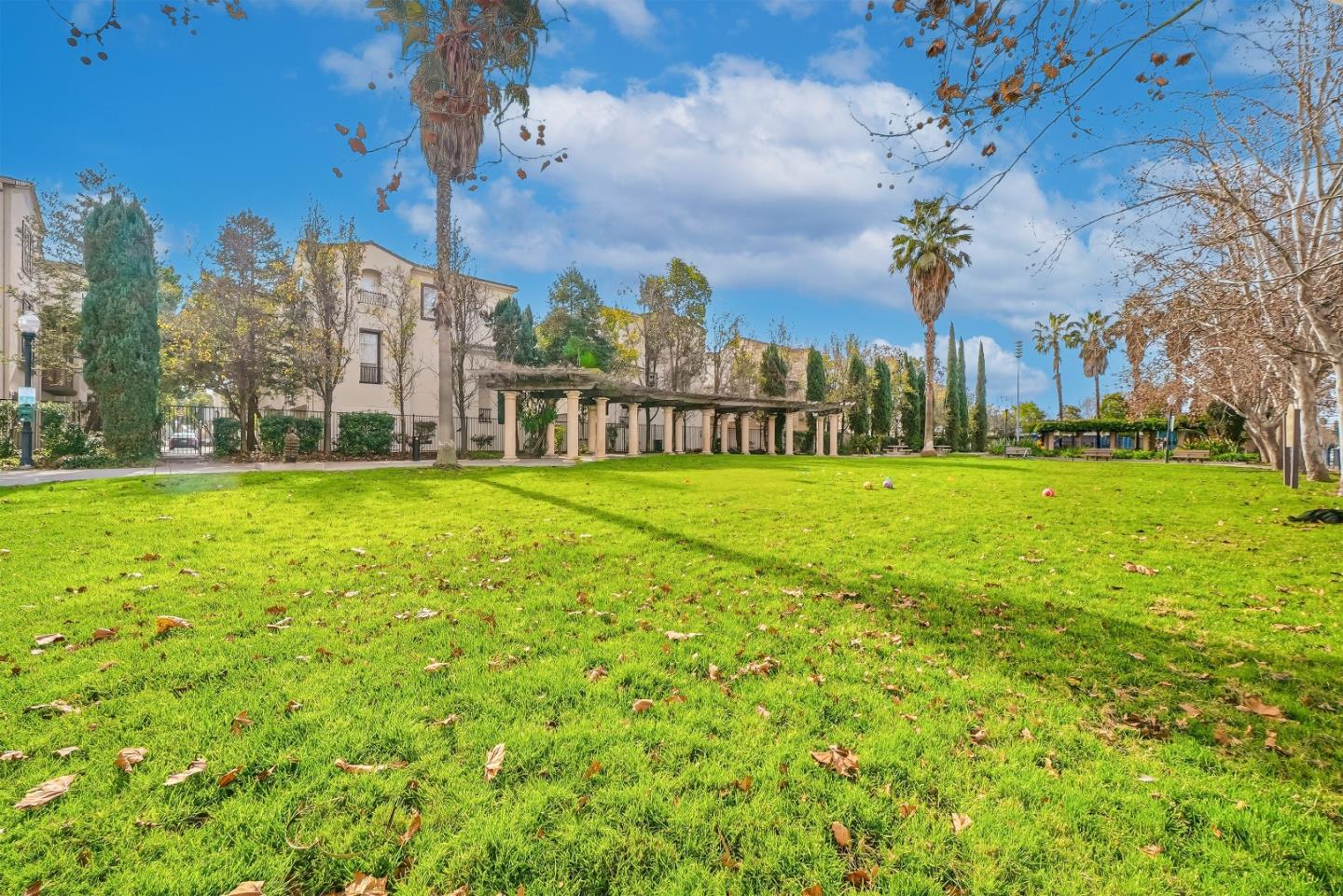59 Wind Song Milpitas, CA 95035 - Photo 51 of 61 a view of a building with a big yard and large trees
