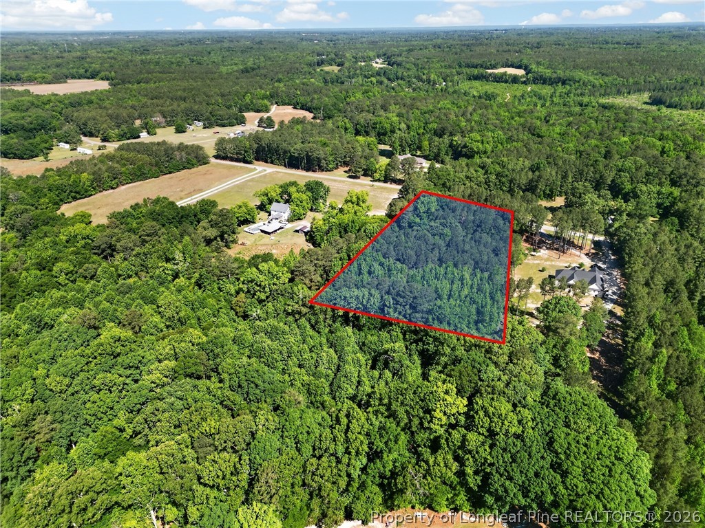 0 Fred Stone Road Sanford, NC 27332 - Photo 3 of 10