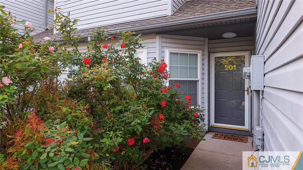 201 Nebula Road Piscataway, NJ 08854 - Photo 4 of 27 a flower plants in front of a house