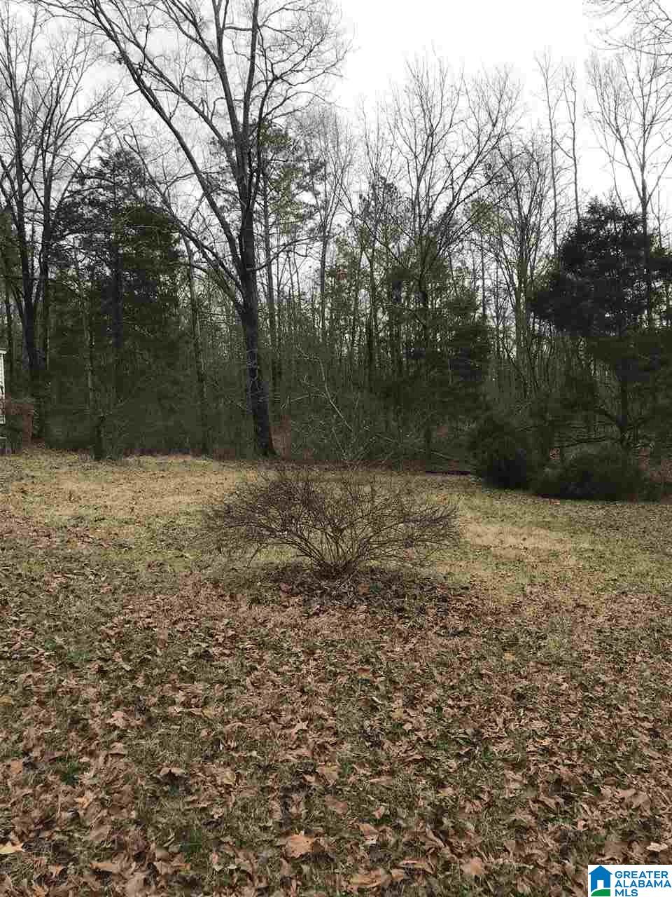 404 Chelsea Road Columbiana, AL 35051 - Photo 5 of 10