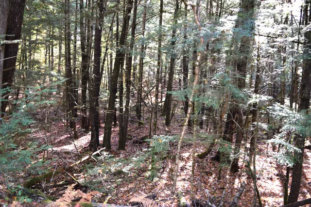 $17,500 | Lot 185 Hanover Drive, Unit 185, Woodsville, NH 03785