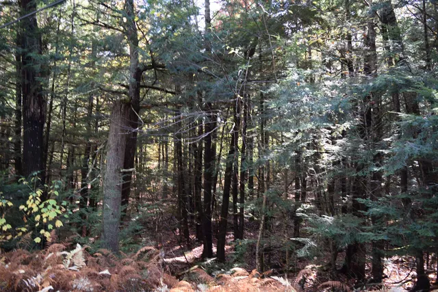 $17,500 | Lot 185 Hanover Drive, Unit 185, Woodsville, NH 03785